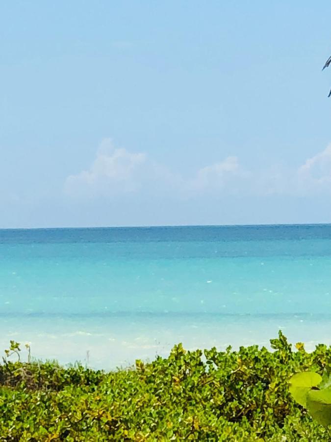 Cabana Colibri A 50 Metros De La Playa Apartment El Cuyo Ngoại thất bức ảnh